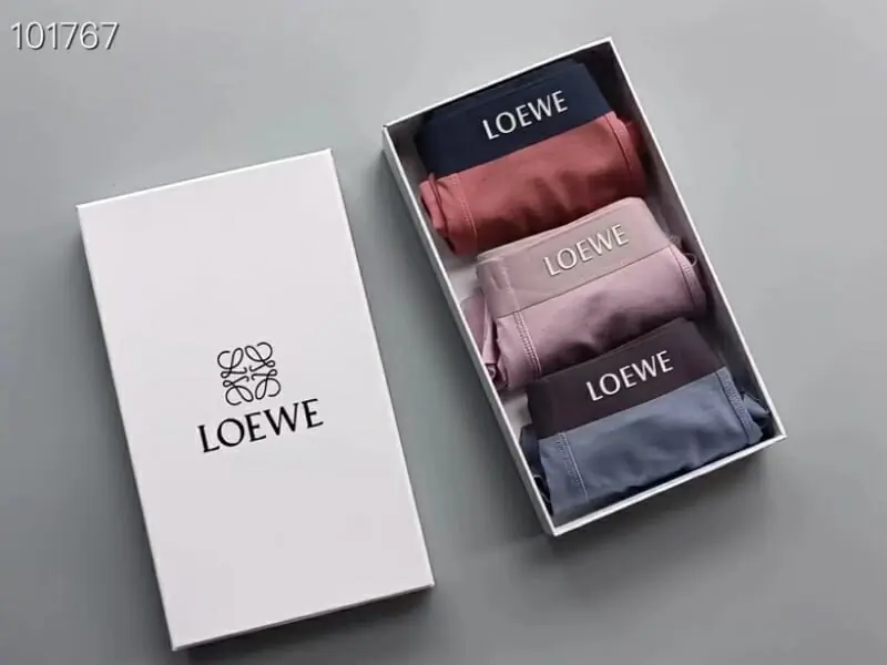 loewe sous vetementss pour homme s_12114023